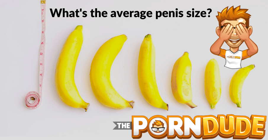 Average Pornstar Penis Size - What's the average penis size? | Porn Dude â€“ Blog