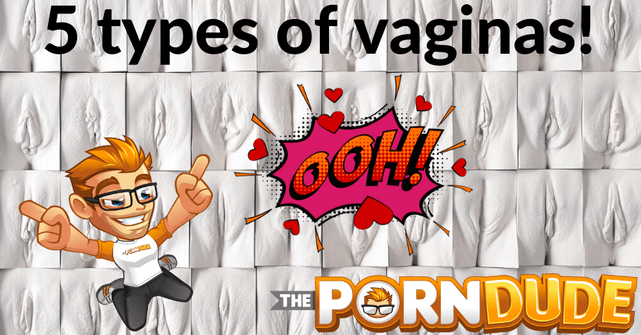 906px x 474px - Did you know that there are 5 types of vaginas? | Porn Dude â€“ Blog