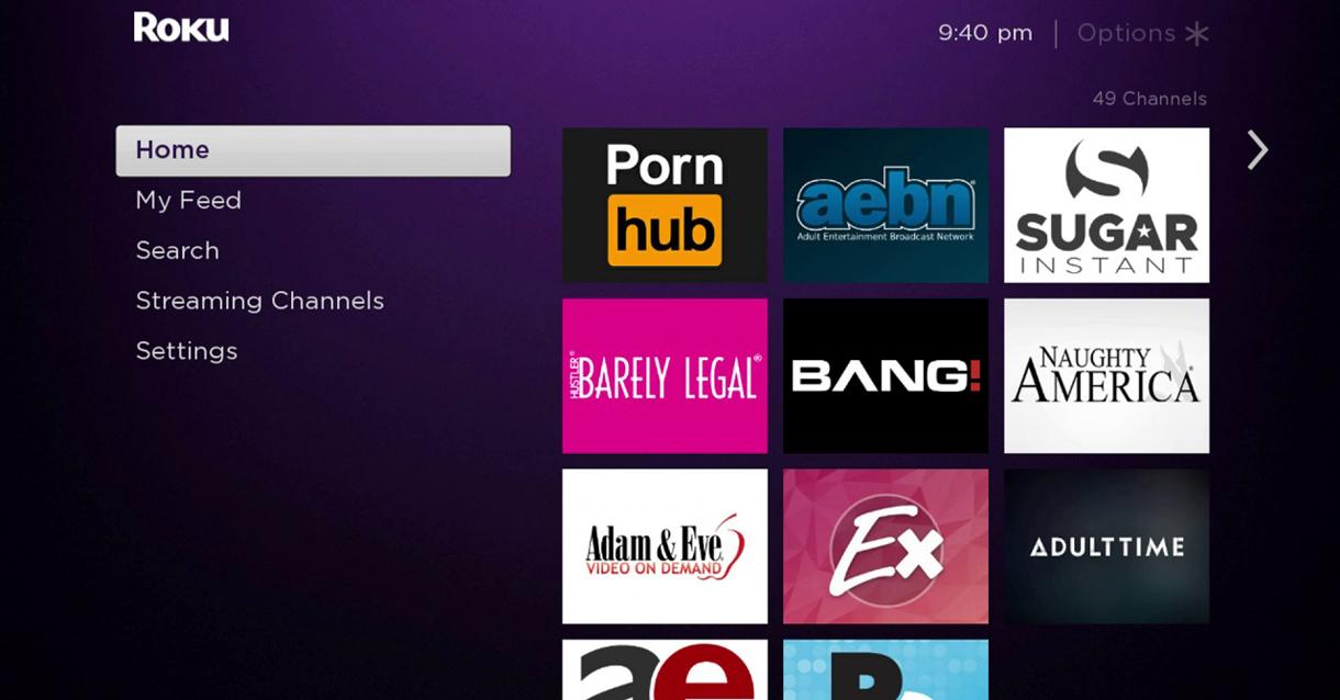Xxx Khon Download - Wanna watch porn on Roku? Here is how! | Porn Dude â€“ Blog