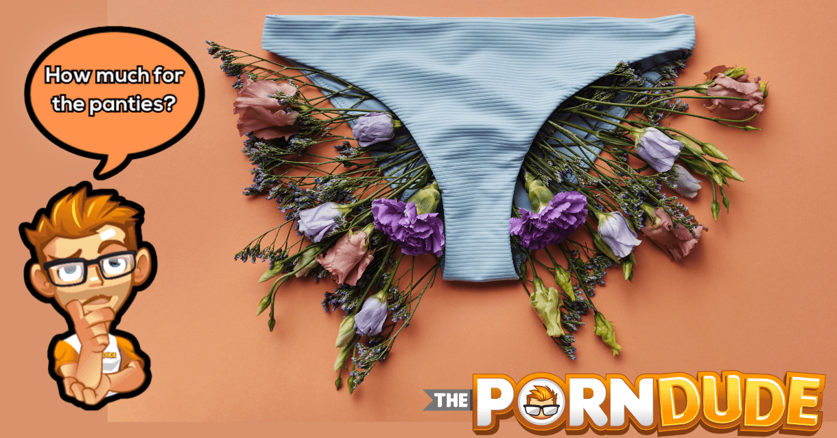 How to Buy Used Panties from Girls on the Internet and Why Men Enjoy This? (2023 Guide)