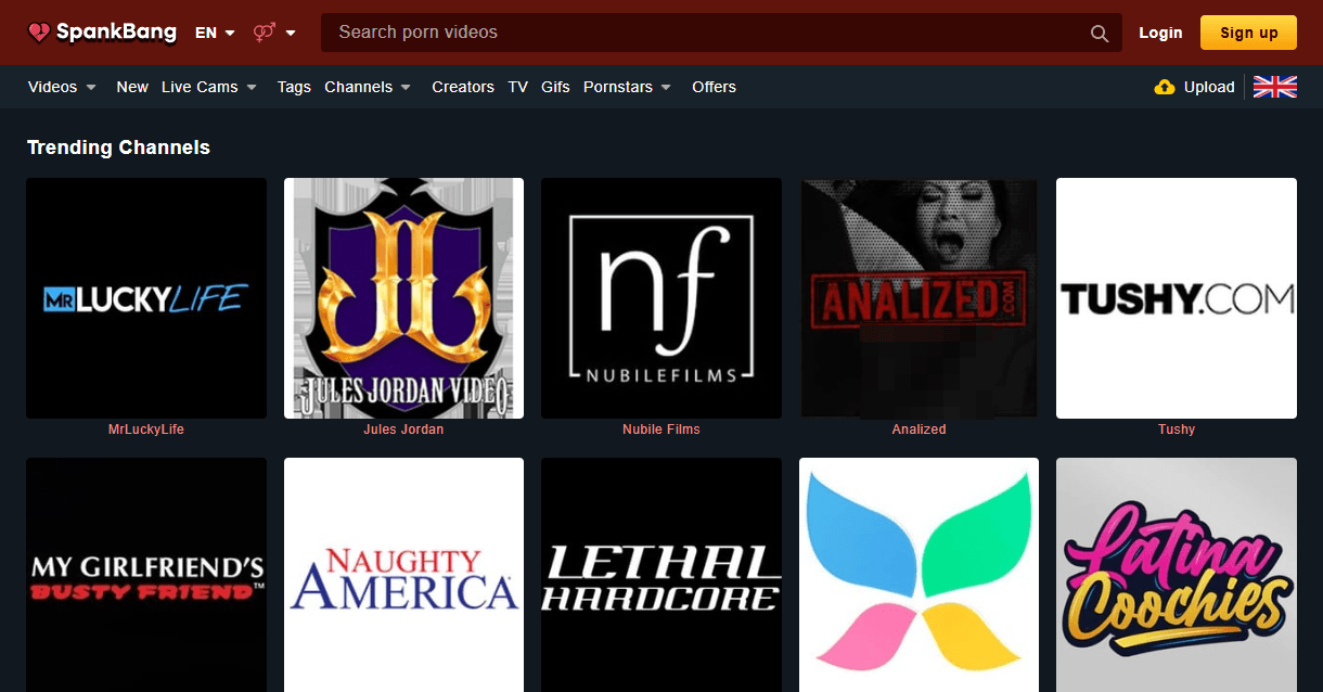 TPDBlog SpankBang3.1