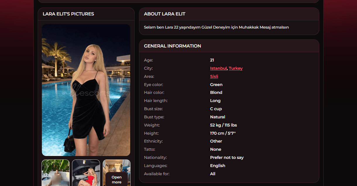 AllEscorts.com Review (2026): A Fresh Escort Directory With VIP Ambitions 3 TPDBlog AllEscorts 3.1