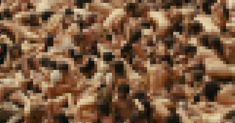 Sex records omitted in the Guinness book 21 massive orgy perfume mr movie 1