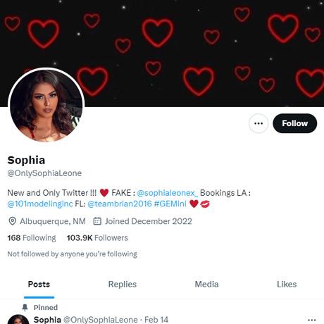 Sophia Leone Twitter