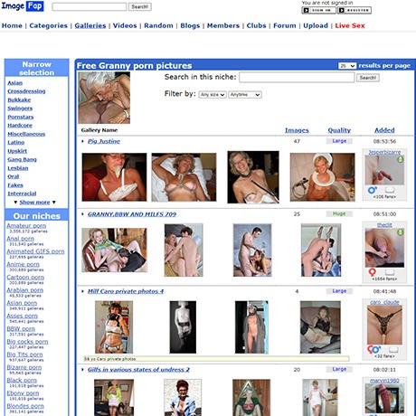 Amateur Black Bbw Image Fap - ImageFap Granny & 10+ Granny Porn Sites Like Imagefap.com