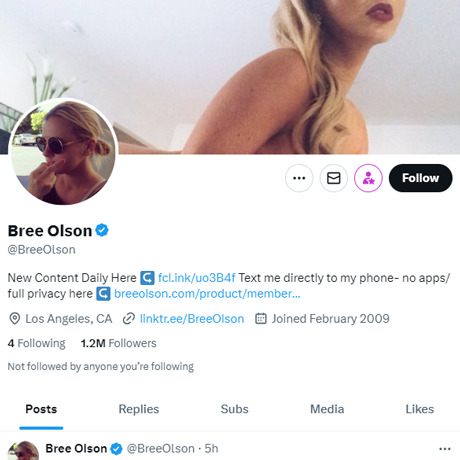 Bree Olson Twitter