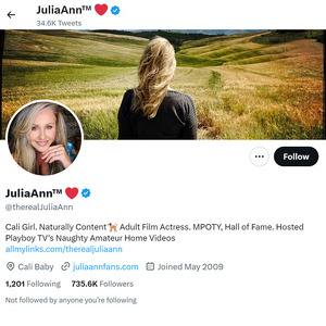 Julia Ann Twitter