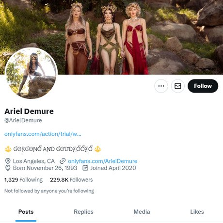 Ariel Demure Twitter (TS)
