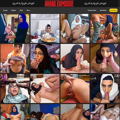 460px x 460px - Arabs Exposed (fake) & 8+ Premium Arab Porn Sites Like Arabsexposed.com