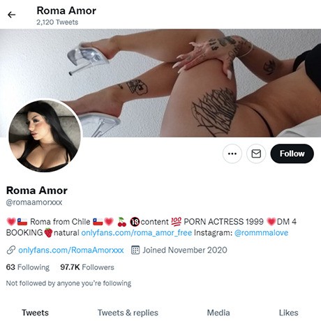 Romas Porn - Roma Amor & 265+ Twitter Porn Accounts Like Twitter.com