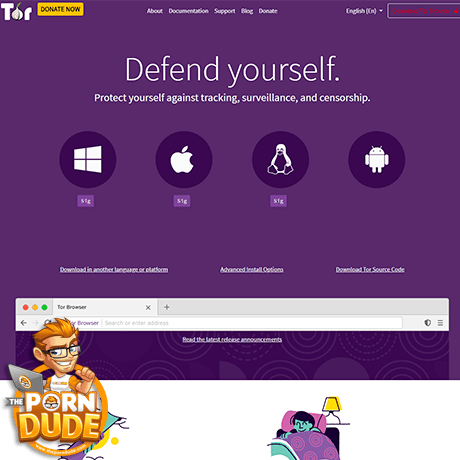 tor browser porn мега