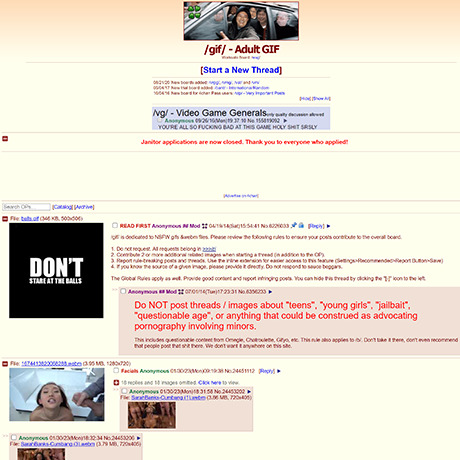 4chan 3d Realistic Porn - 4Chan Adult GIF & 9+ Porn GIFs Sites Like Boards.4chan.org