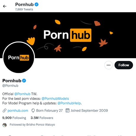 PornHub Twitter