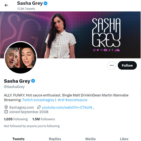 Sasha Grey Twitter