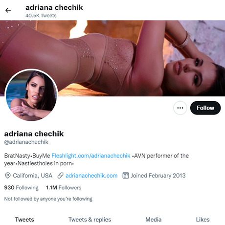 Adriana Chechik Twitter