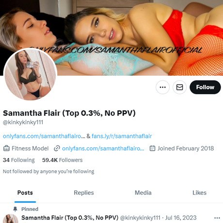 samantha-flair-twitter-twitter-twitter-porn-account