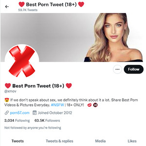 Best Porn Tweets