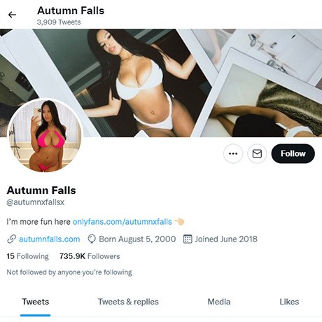 Autumn Falls Twitter