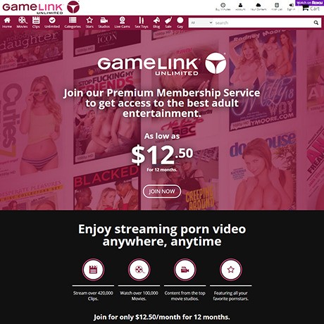 Gamelink Porn
