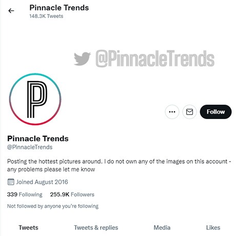 Pinnacle Trends